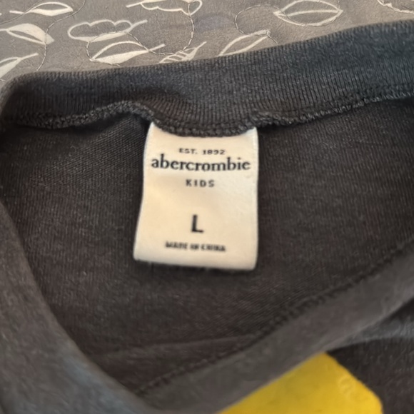 ABERCROMBIE KIDS long-sleeve graphic tee, Large - Picture 3 of 9